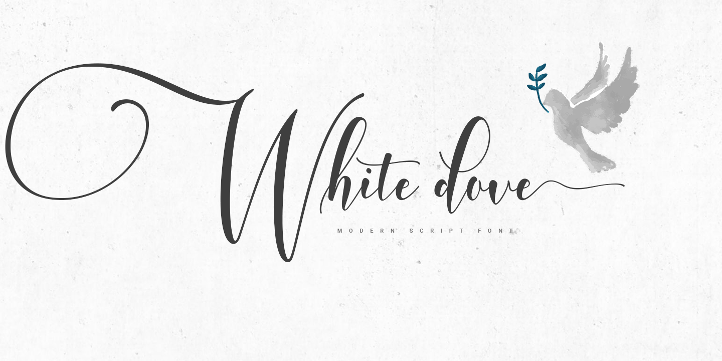 Пример шрифта White Dove Script #1